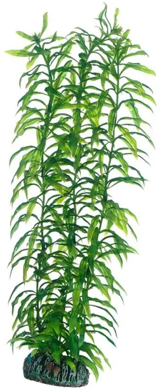 Hobby Heteranthera 34 cm